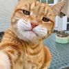 bbyy_catt