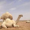 الخنفري
