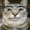 user.is.a.careditor
