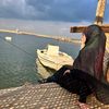 Hanadi Krayem