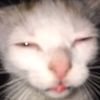 user1822432900023