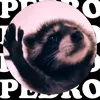 _petuzz_