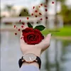 بهار