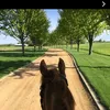 m_14ky