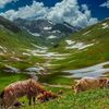 rizwanrasheed7908