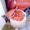 48579672muhammadslmo