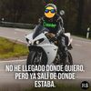 user1557702741447