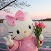 no_iocx