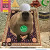 walidpro233