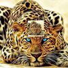 takitick7