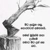 madu62348