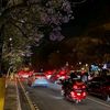 bandar_7799