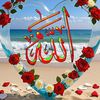 mo.hassan731