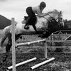 islaandthecrazyponys