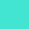 whopsiee.e