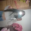 slk_agatinha