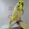 abdelghani.kaci