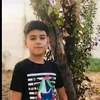 .31333227