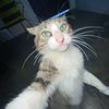 elmituUwU