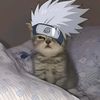 zoronoazoro115
