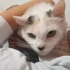 gigipaulo0