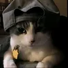 panadolsetama