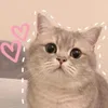 linhchimeow1