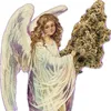 user0830333
