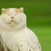 mr_badass9922222