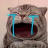 user316549047
