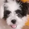 nini_nini0000000