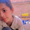 syed0631
