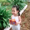 tk.chinh