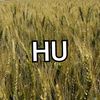 user8695495530045