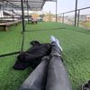 ryy.12