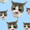 user14072500_