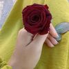 munnazza.syed