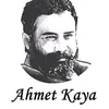 qamo_6