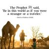 zaki.ahmed942