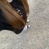 albul.nastya