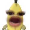 25o6oo9