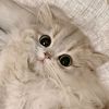 user1720567356112