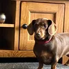 weenie_world1