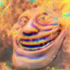 ptrkoffic