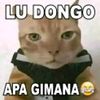 si_hytam_imut12