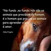juliano.godoy81