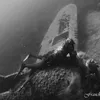 josephsecchiberna
