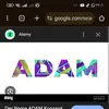 adam.sy17