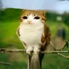 freakysevn