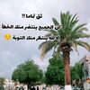 kadr.bttir